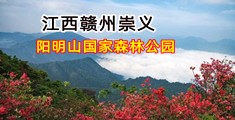 两个日本妹子跪舔大鸡巴